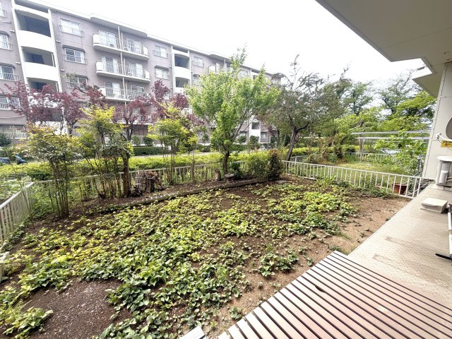 庭