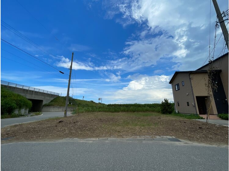 外観：317000006230