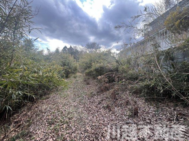 南東側に設けられた遊歩道