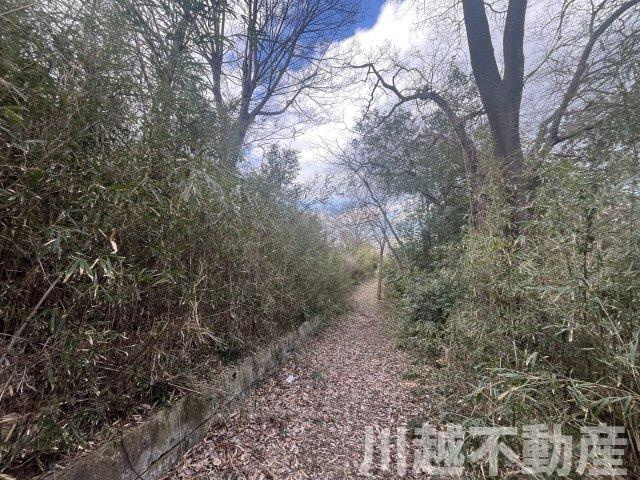 南東側に設けられた遊歩道
