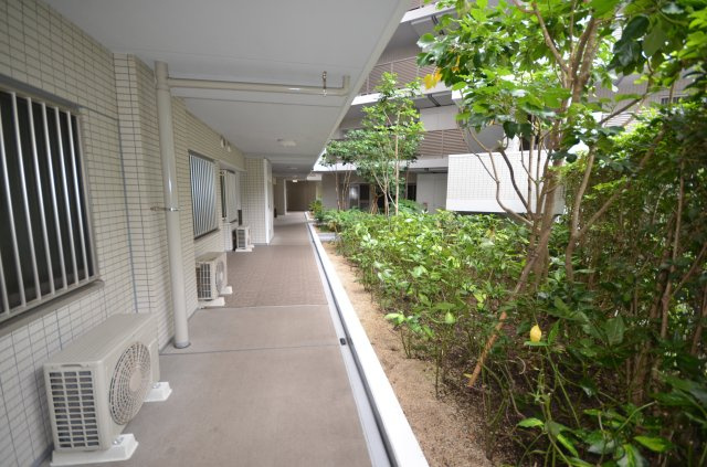 1階共用廊下の脇にも、ふんだんに植栽あり！緑と海風に触れながらの生活に臨めます！周辺には買い物、医療、公的機関等が点在し、しかも平坦です！！