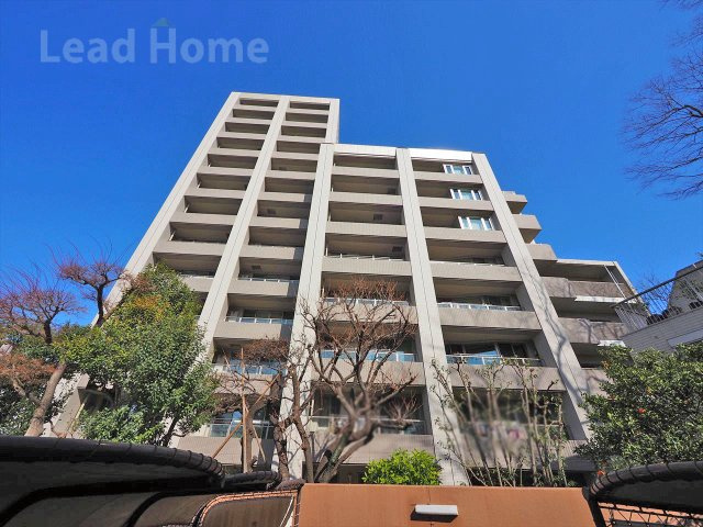 外観：313004684499