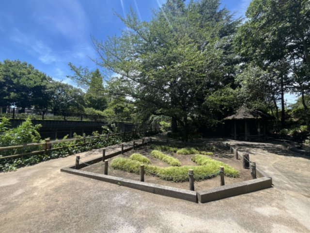 徒歩2分で行ける哲学堂公園。緑あふれるいこいの空間で、都心にいながら自然を感じてリフレッシュできます♪
