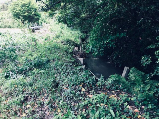 ■近隣に流れる水路
