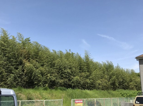 眺望を気にして物件を探す場合、前面に建物が建っていないか現地で確認しましょう！前面に建物があると景色はもちろん、日当たりや風通しにも影響が出てきます。住んだ時のことを想像しながら現地見学をしましょう。