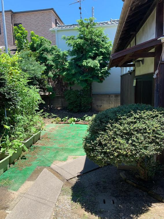 庭