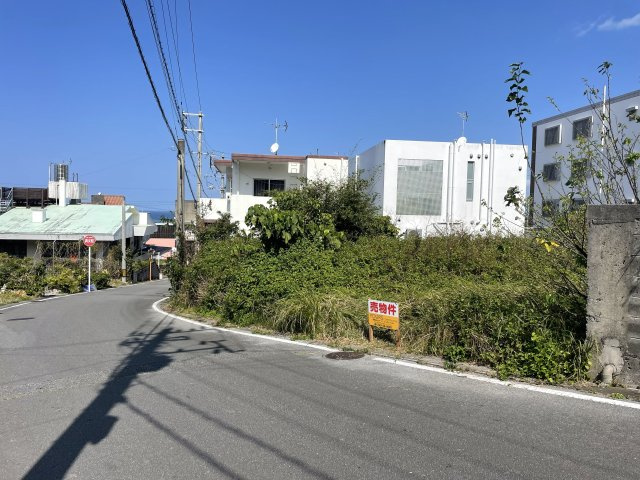 外観：347000074624