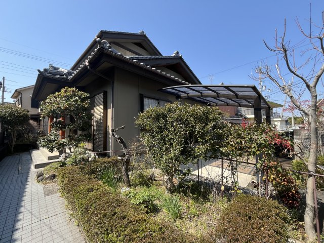 庭