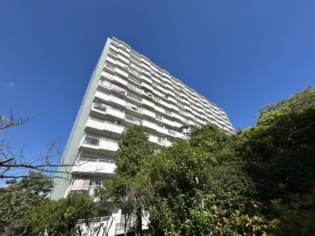 外観：314002498062