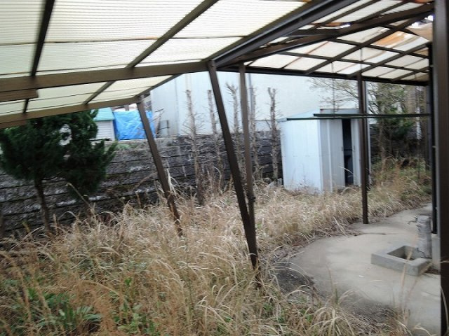 庭