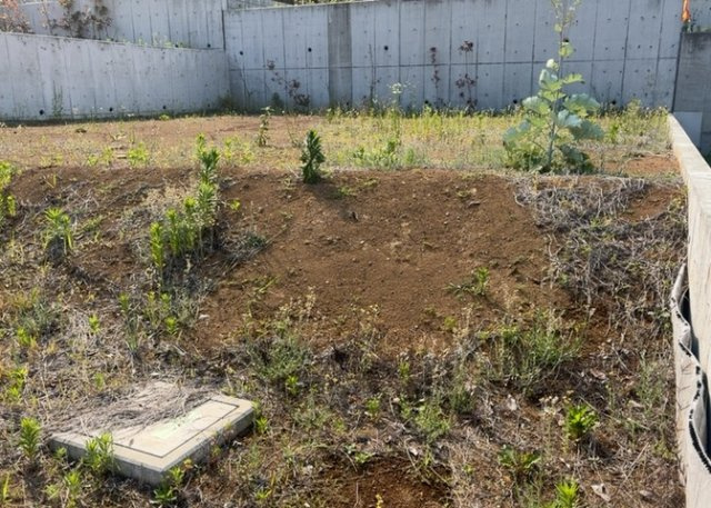土地を買う際、住む地域の自治体や福祉の補助制度にも注目してみましょう。子供や老人の医療補助やゴミ出しのルールなど、自治体によってルールに大きな違いがあるため、暮らしやすい土地で判断するとよいでしょう。