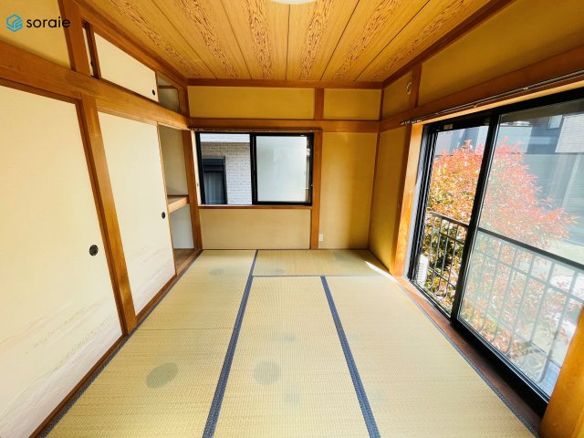 4/6撮影