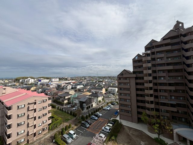 展望