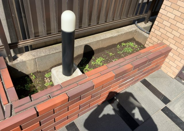 物件によっては、入居者が個人的に使用できる専用庭がついているものもあります。また、住宅の中にある土間の部分を庭と呼ぶこともあります。庭の用途は住む人によって変わり、それによってデザインもさまざまです。