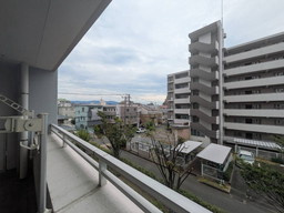 展望