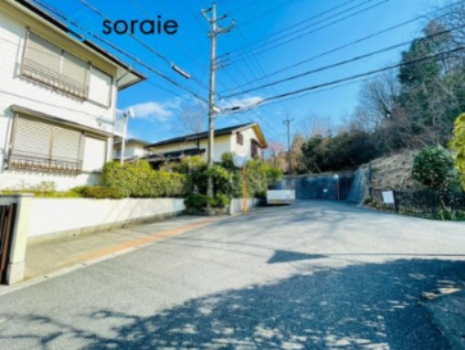 3/16　撮影