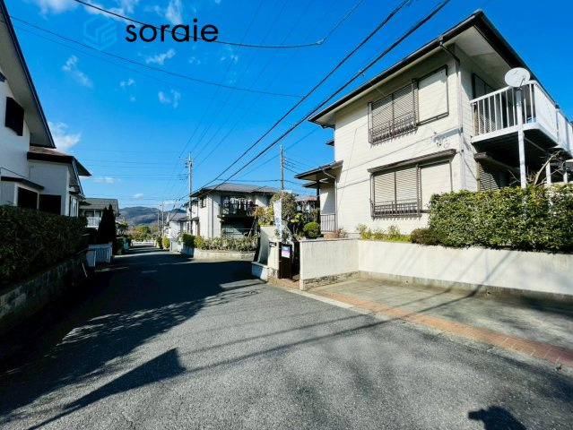 3/16　撮影