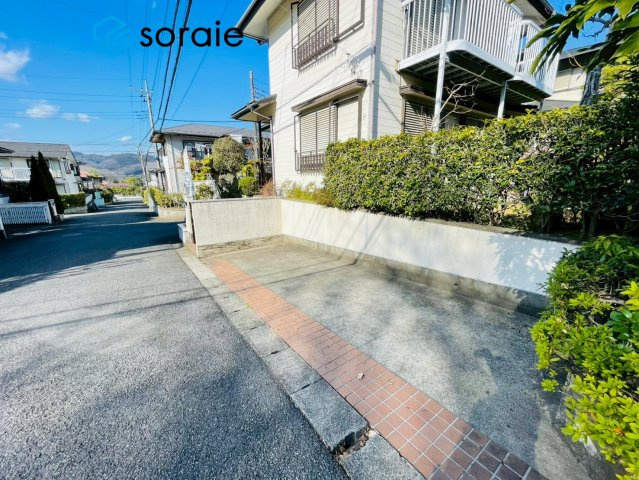 3/16　撮影