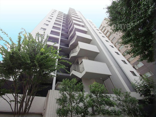 外観：313004684511