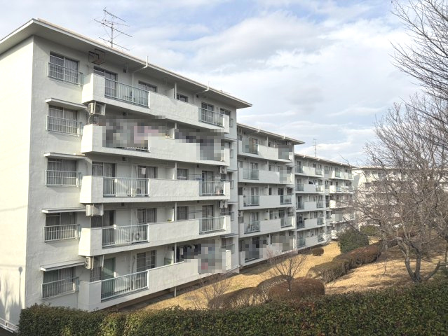 外観：313004287383