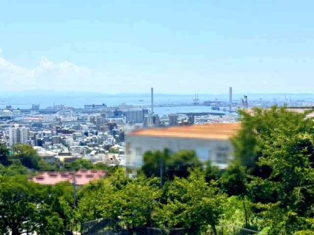 展望