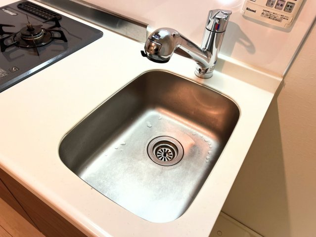 ◆浄水器一体型なのでシンクまわりがスッキリ！ハンドシャワー付きで便利。