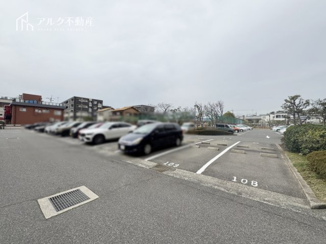 2026年3月7日撮影