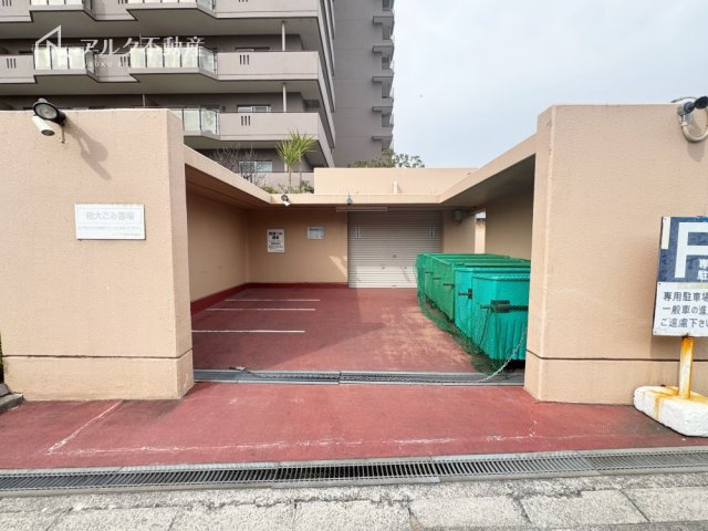 2026年3月7日撮影
