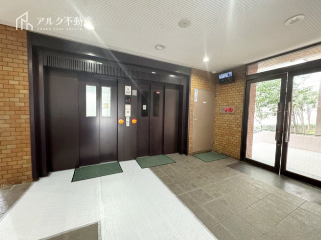 2026年3月7日撮影