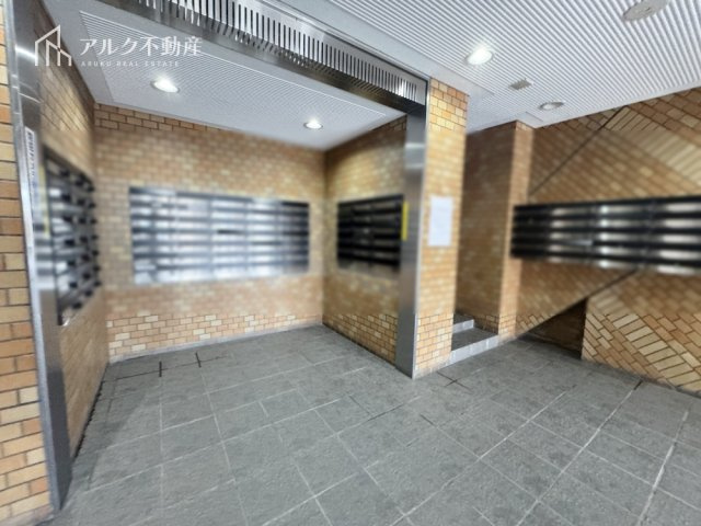 2026年3月7日撮影
