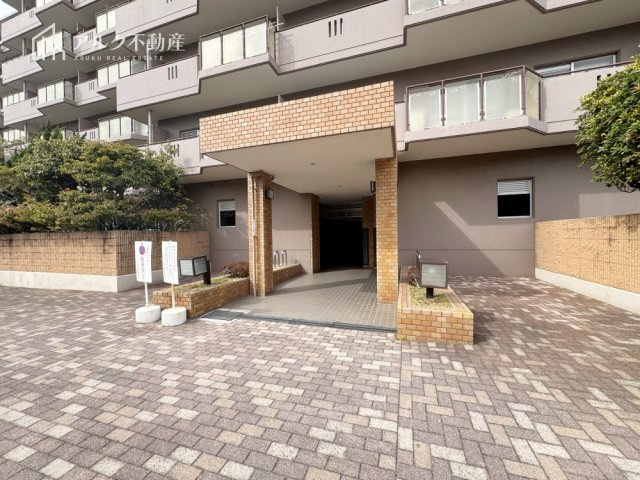 2026年3月7日撮影