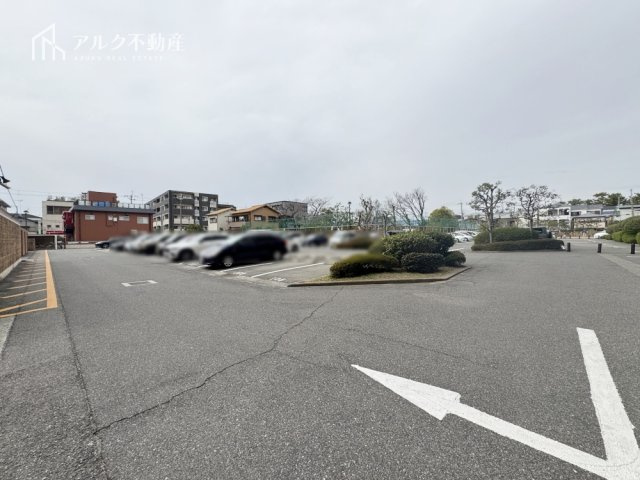 2026年3月7日撮影