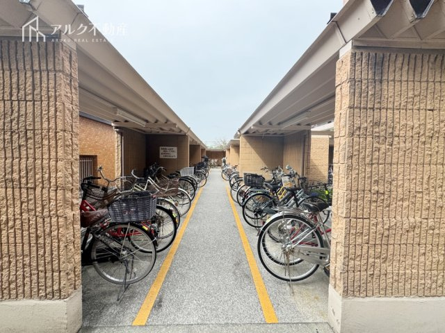 2026年3月7日撮影
