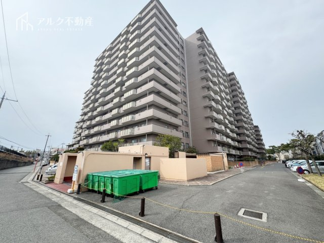 2026年3月7日撮影