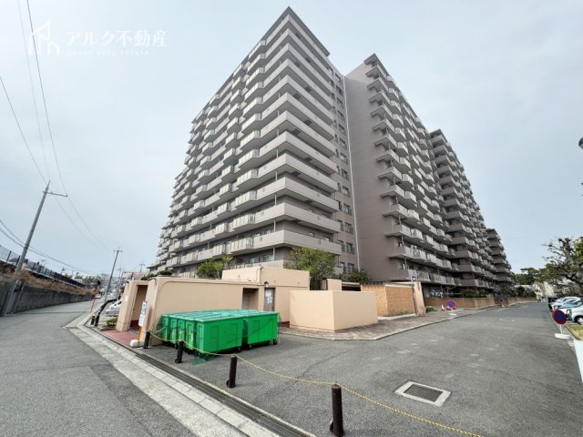 2026年3月7日撮影