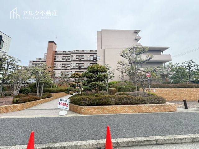 2026年3月7日撮影