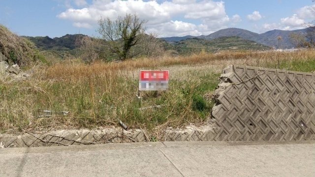 外観：330000084599