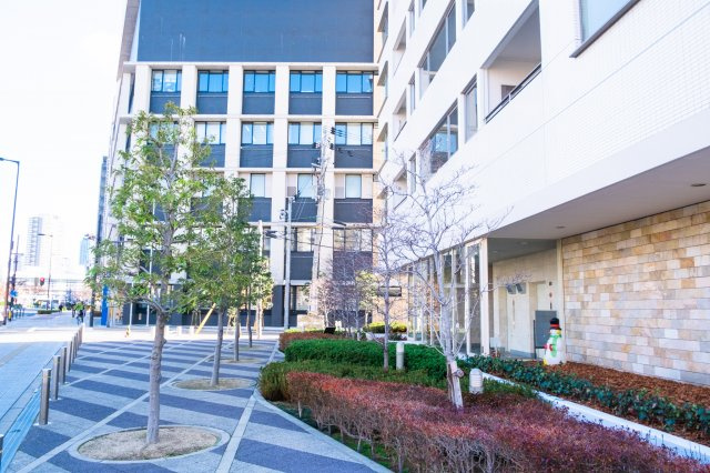 【周辺】マンション周辺の歩道もきれいに舗装・管理されています！気持ちの良い並木道！