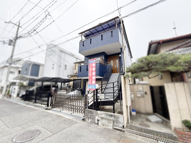 2026年3月撮影