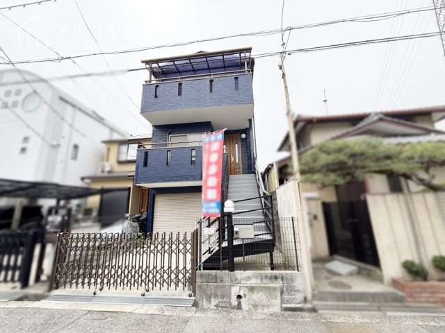 2026年3月撮影
