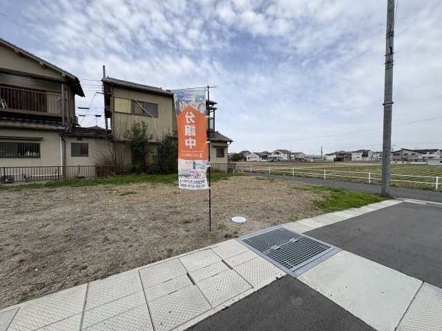 5号地