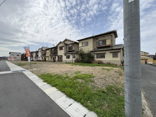 5号地