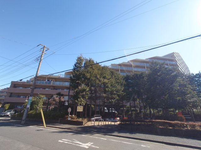 公園側からの外観
