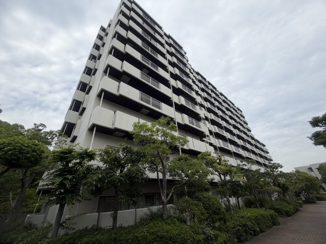 外観：328000652911