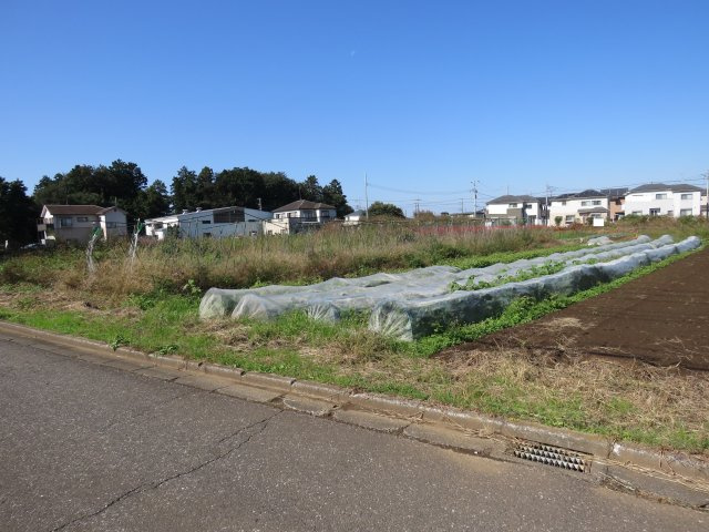 展望