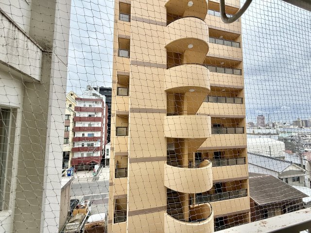 展望