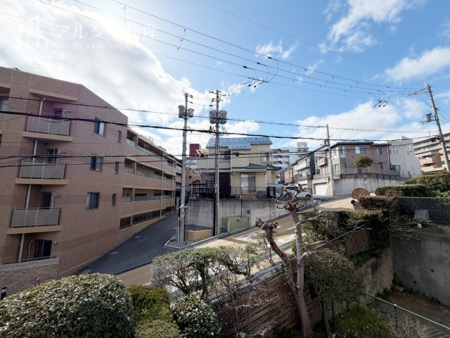 2026年3月撮影