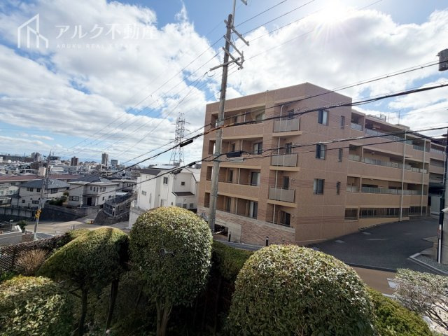 2026年3月撮影
