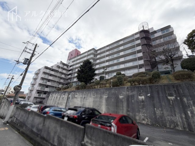 2026年3月撮影