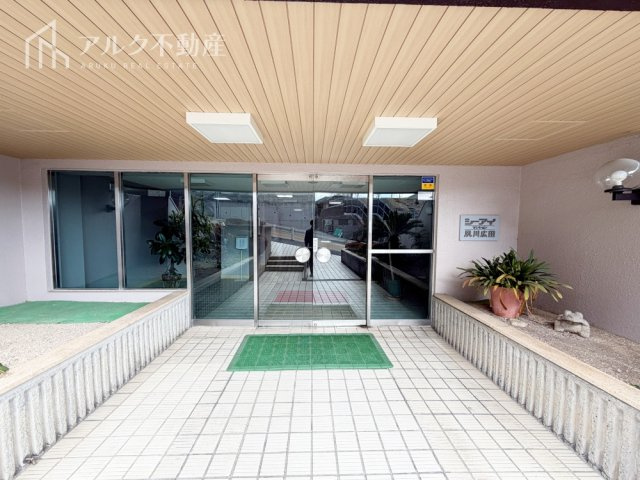 2026年3月撮影